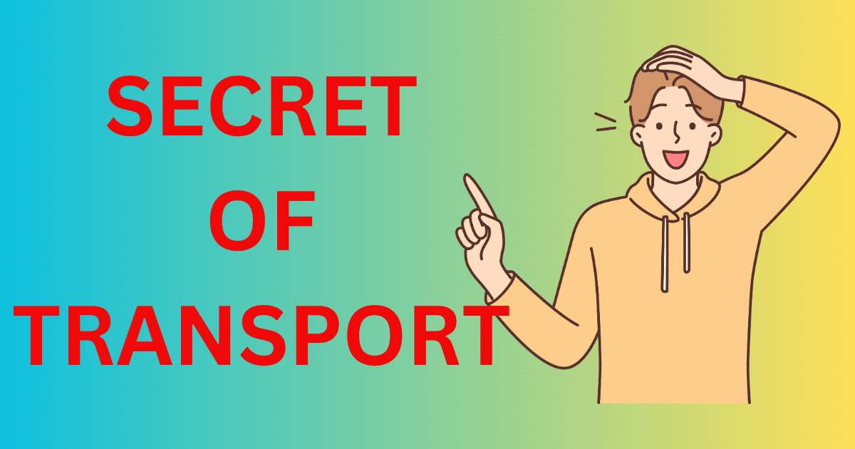 Uncovering the Secrets of Transportation 2023